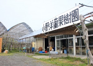 農園直売所