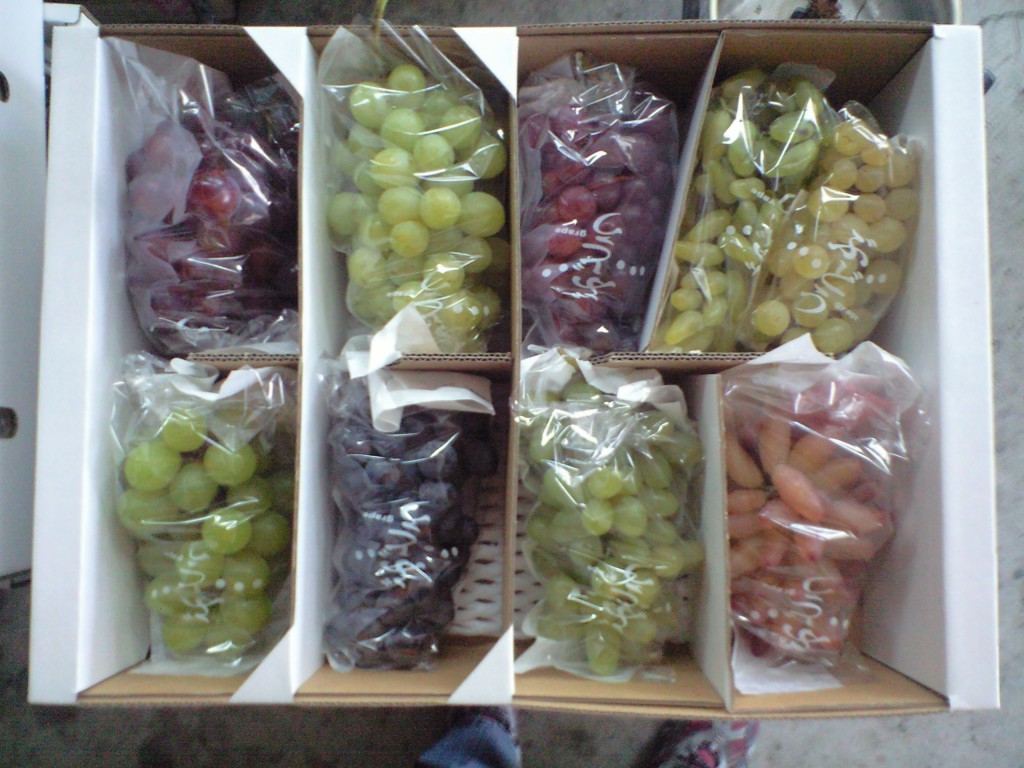 ぶどうお土産