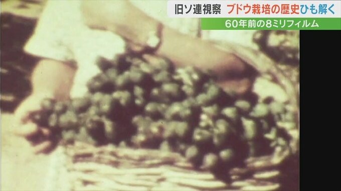 葡萄視察当時の8ｍｍ